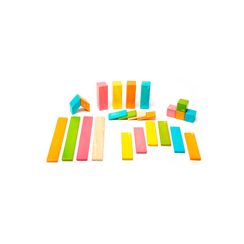 13_-_24P-TNT-306T_3.png